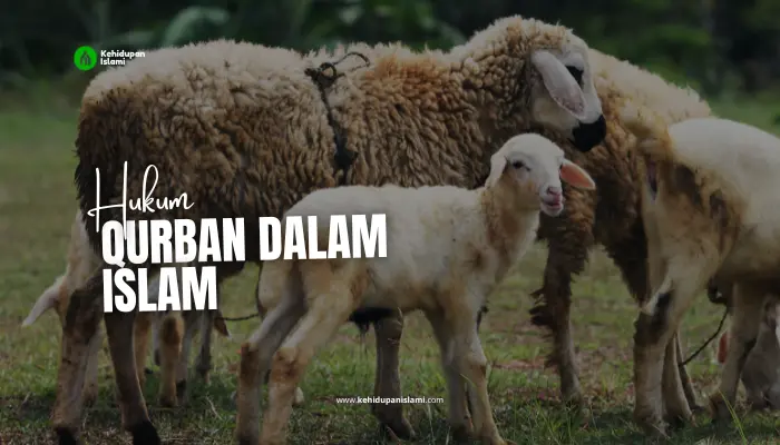 hukum qurban dalam islam