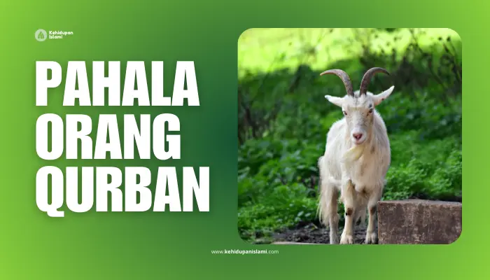 pahala orang berqurban
