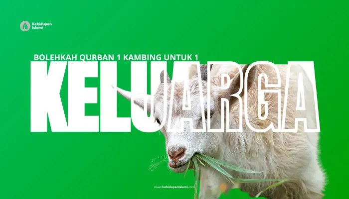 qurban 1 kambing untuk 1 keluarga