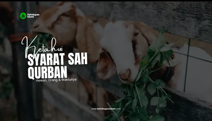 syarat sah qurban