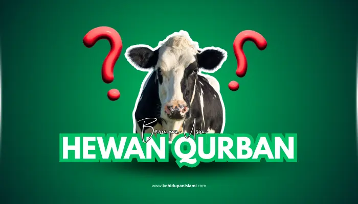usia hewan qurban