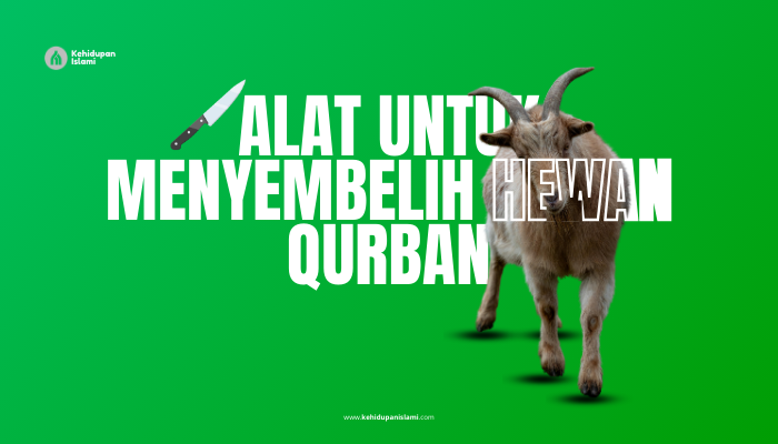 alat yang diperbolehkan untuk menyembelih hewan