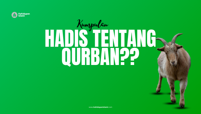 kumpulan hadis tentang qurban
