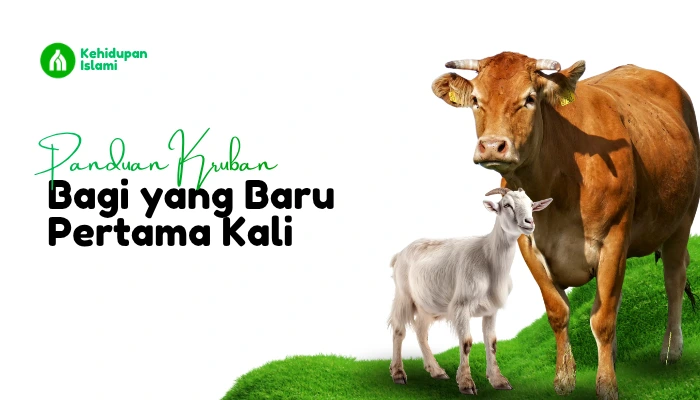 panduan kurban bagi yang baru pertama kali