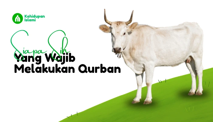 siapa yang wajib berkurban